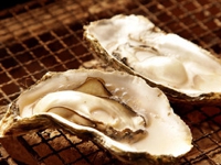 320x320_rect_7283049.jpg
