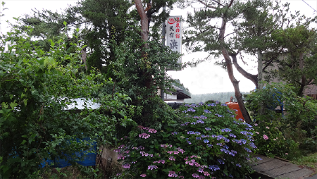 hamaya-hana.png