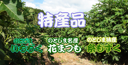 いちぢく畑.png