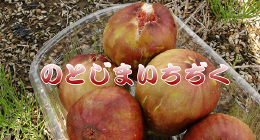 いちぢく.png